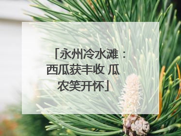 永州冷水滩：西瓜获丰收 瓜农笑开怀