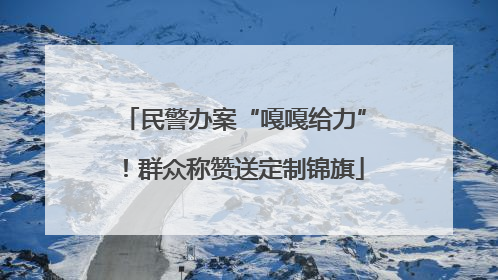民警办案“嘎嘎给力”！群众称赞送定制锦旗