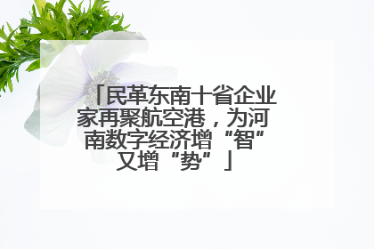 民革东南十省企业家再聚航空港，为河南数字经济增“智”又增“势”