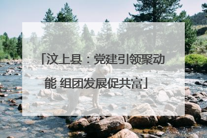 汶上县：党建引领聚动能 组团发展促共富