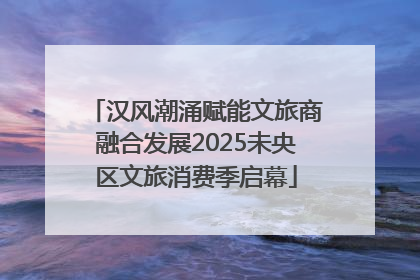 汉风潮涌赋能文旅商融合发展2025未央区文旅消费季启幕