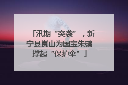 汛期“突袭”，新宁县崀山为国宝朱鹮撑起“保护伞”