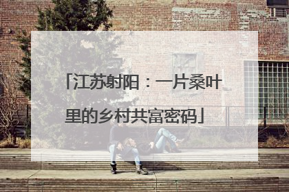 江苏射阳：一片桑叶里的乡村共富密码