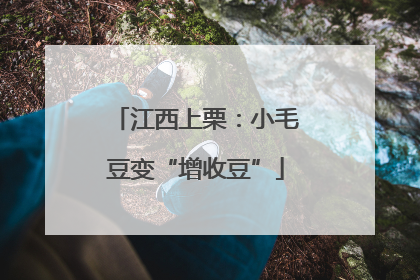 江西上栗：小毛豆变“增收豆”