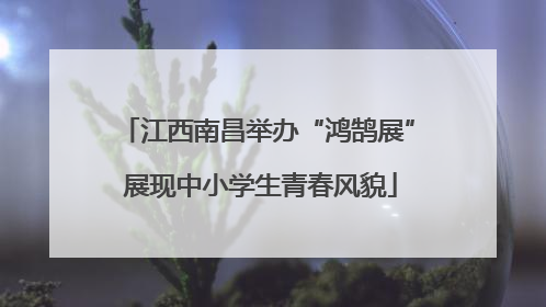 江西南昌举办“鸿鹄展” 展现中小学生青春风貌