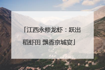 江西永修龙虾：跃出稻虾田 飘香京城宴