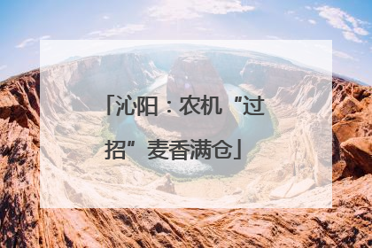 沁阳：农机“过招”麦香满仓