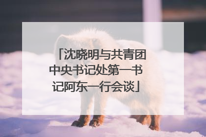 沈晓明与共青团中央书记处第一书记阿东一行会谈