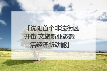 沈阳首个非遗街区开街 文旅新业态激活经济新动能