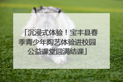 沉浸式体验！宝丰县春季青少年陶艺体验进校园公益课堂圆满结课