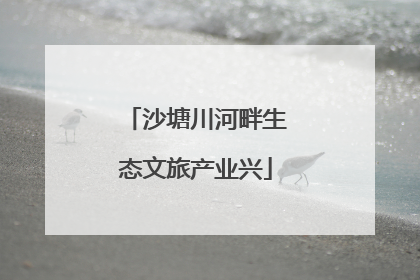 沙塘川河畔生态文旅产业兴