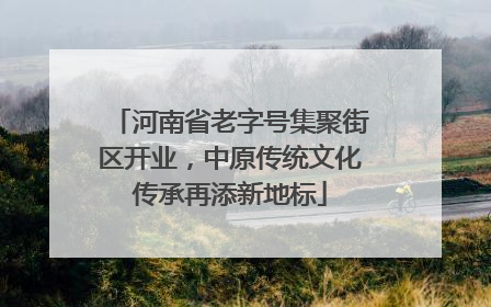 河南省老字号集聚街区开业，中原传统文化传承再添新地标