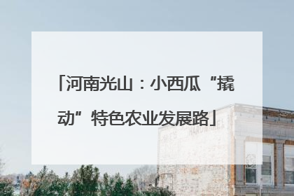 河南光山：小西瓜“撬动”特色农业发展路
