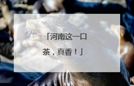 河南这一口茶，真香！