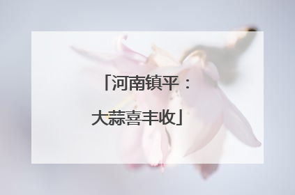 河南镇平：大蒜喜丰收
