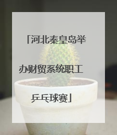 河北秦皇岛举办财贸系统职工乒乓球赛