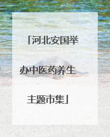 河北安国举办中医药养生主题市集