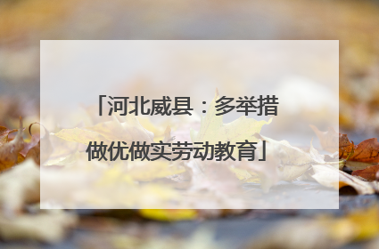 河北威县：多举措做优做实劳动教育