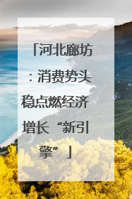河北廊坊：消费势头稳点燃经济增长“新引擎”