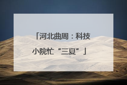 河北曲周：科技小院忙“三夏”