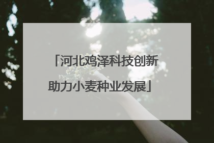 河北鸡泽科技创新助力小麦种业发展