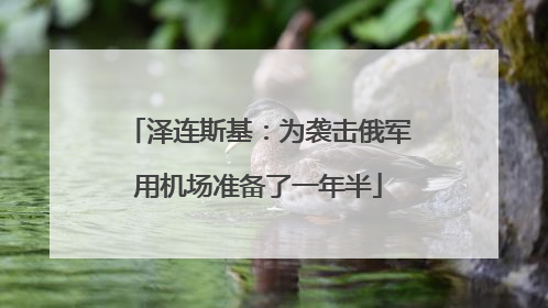 泽连斯基：为袭击俄军用机场准备了一年半