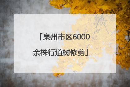 泉州市区6000余株行道树修剪