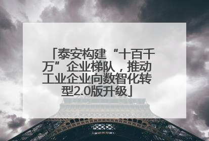 泰安构建“十百千万”企业梯队，推动工业企业向数智化转型2.0版升级
