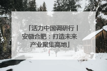 活力中国调研行丨安徽合肥：打造未来产业聚集高地