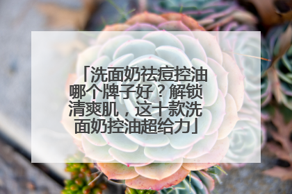 洗面奶祛痘控油哪个牌子好？解锁清爽肌，这十款洗面奶控油超给力