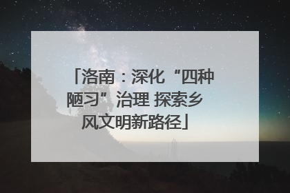 洛南：深化“四种陋习”治理 探索乡风文明新路径