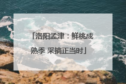 洛阳孟津：鲜桃成熟季 采摘正当时