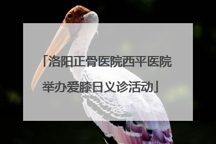 洛阳正骨医院西平医院举办爱膝日义诊活动