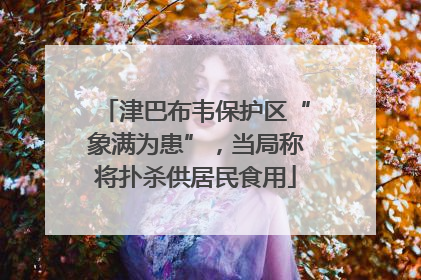 津巴布韦保护区“象满为患”，当局称将扑杀供居民食用
