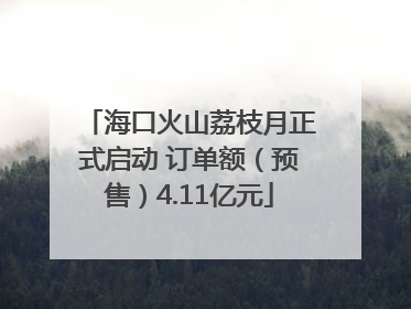 海口火山荔枝月正式启动 订单额（预售）4.11亿元