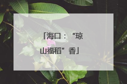海口：“琼山福稻”香