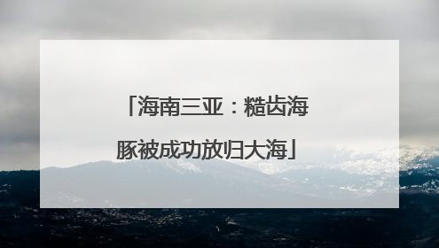 海南三亚：糙齿海豚被成功放归大海