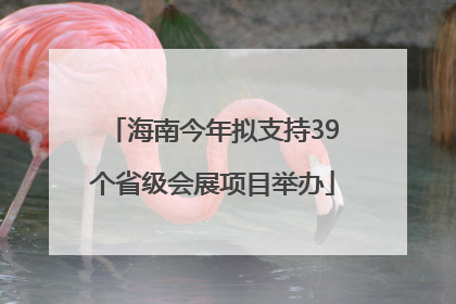 海南今年拟支持39个省级会展项目举办