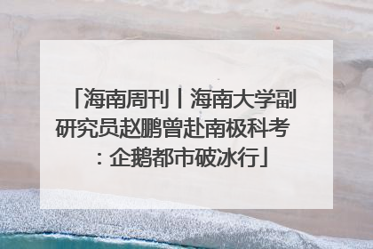 海南周刊丨海南大学副研究员赵鹏曾赴南极科考：企鹅都市破冰行