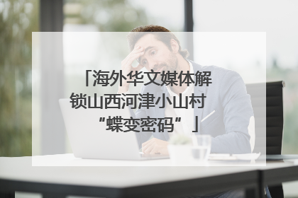 海外华文媒体解锁山西河津小山村“蝶变密码”