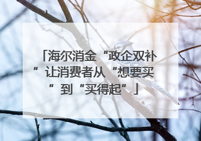 海尔消金“政企双补”让消费者从“想要买”到“买得起”