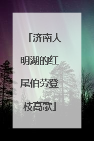 济南大明湖的红尾伯劳登枝高歌