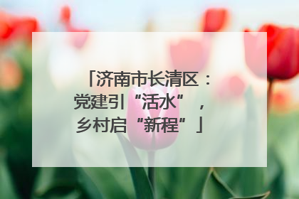 济南市长清区：党建引“活水”，乡村启“新程”