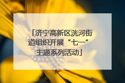 济宁高新区洸河街道组织开展“七一” 主题系列活动