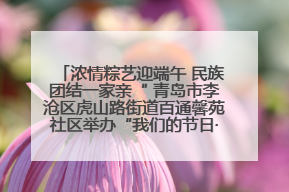 浓情粽艺迎端午 民族团结一家亲“ 青岛市李沧区虎山路街道百通馨苑社区举办“我们的节日·端午“主题活动