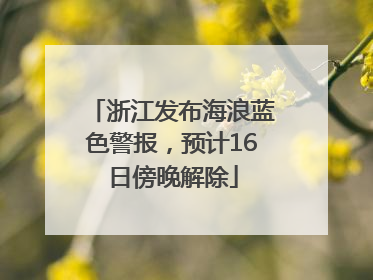 浙江发布海浪蓝色警报，预计16日傍晚解除