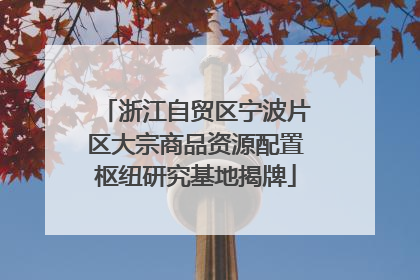 浙江自贸区宁波片区大宗商品资源配置枢纽研究基地揭牌