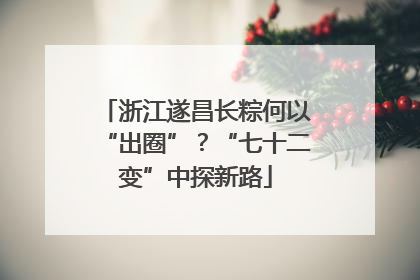 浙江遂昌长粽何以“出圈”？“七十二变”中探新路