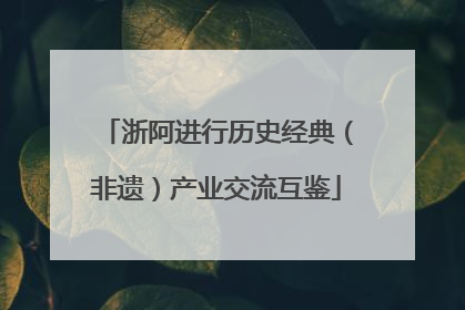 浙阿进行历史经典（非遗）产业交流互鉴