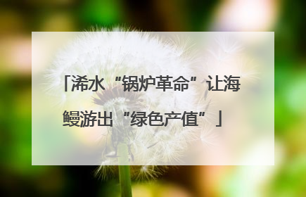浠水“锅炉革命”让海鳗游出“绿色产值”